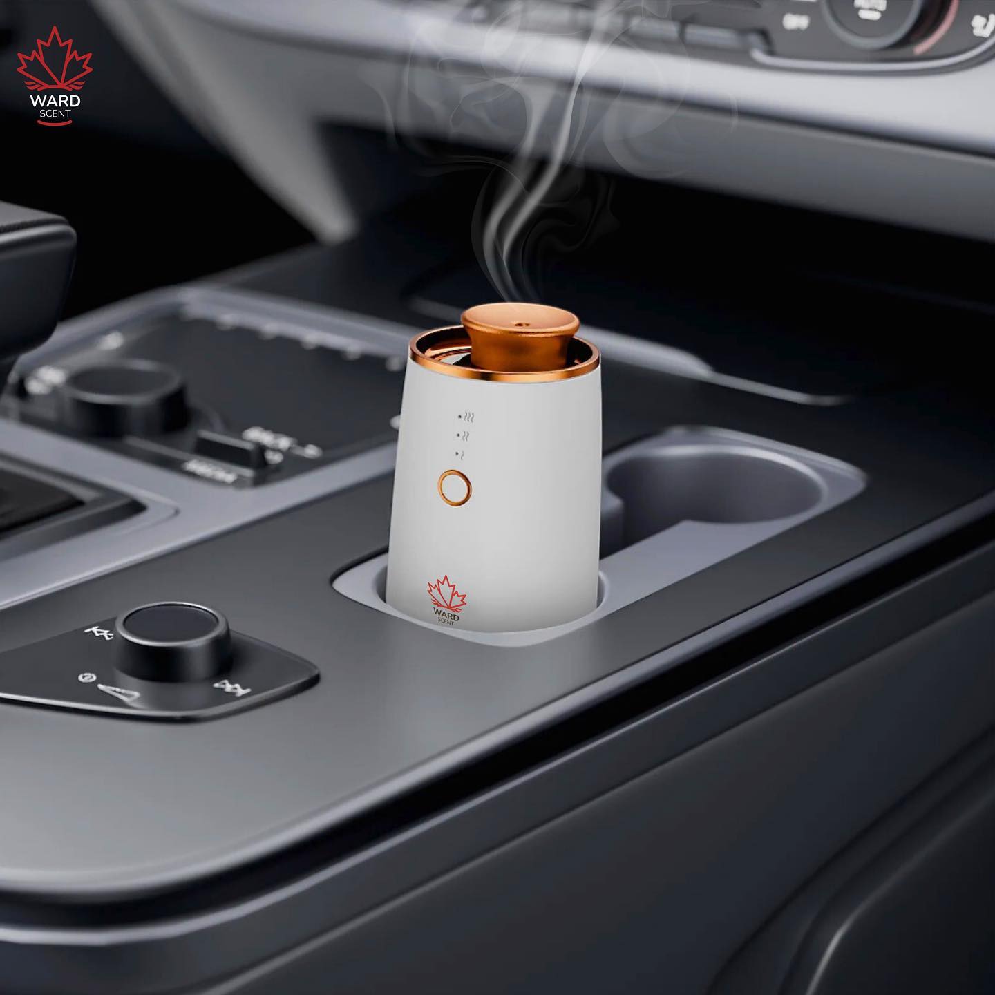 Elegant Ward Scent Diffuser 1 aromatic oil 500 ml + Luxury car Diffuser - Type C charger