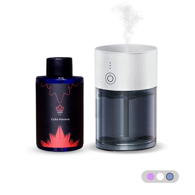 Smallest Luxury Scent Diffuser with 1 aromatic oil 100ml - USB Charger - Ward Scent