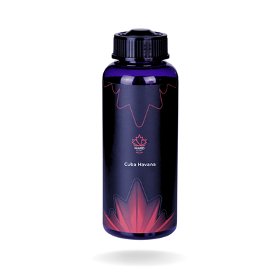 معطر جو  من ورد سنت مع 1 زيت عطري سعة 500 مل - متوسط باللون الاسودElegant